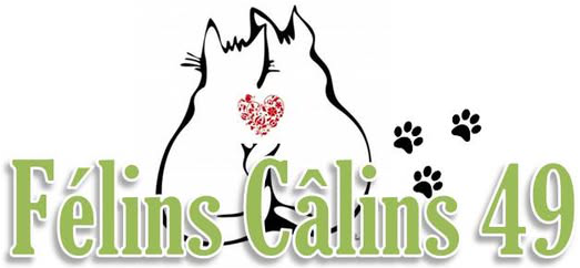 Asso Félins Câlins 49